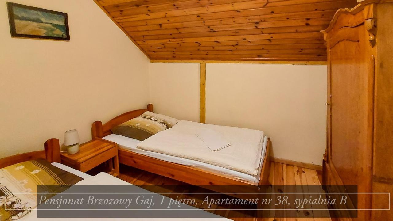 Brzozowy Gaj - Pensjonat Karpacz Exteriör bild
